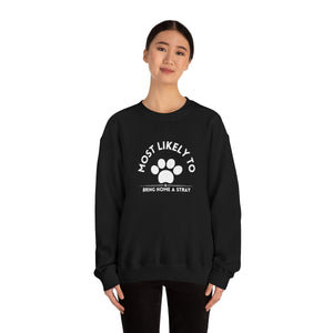 Most Likely to Bring Home a Stray. lUnisex Heavy Blend™ Crewneck Sweatshirt