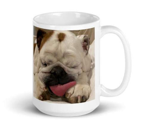 Only My Dog Understands Photo Mug